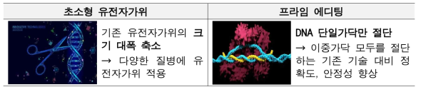 차세대 유전자가위 기술 대표사례