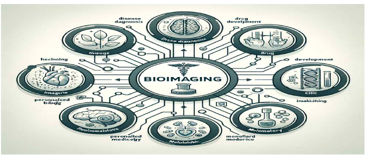 바이오메디컬 영역에서 바이오이미징 기술과의 연관도 Image