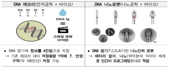 바이오 기술의 다양한 기술분야 적용 사례