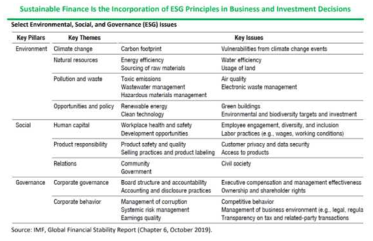 IMF의 ESG 주요 범위 및 핵심 이슈 ※ 출처 : IMF, 2021, ESG Monitor (July 12). p. 11