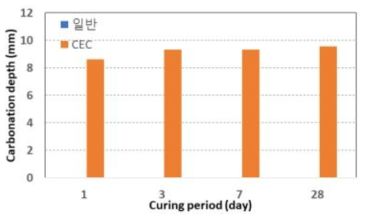 탄산화 침투 깊이
