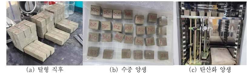 전기로 환원슬래그 혼입 시멘트 페이스트 공시체의 모습