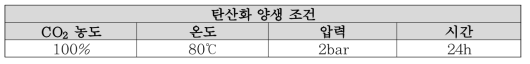 CO2 양생 조건