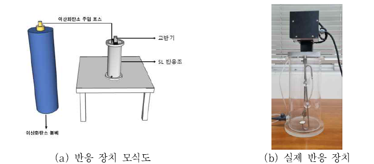 이산화탄소 용해 실험 반응 장치