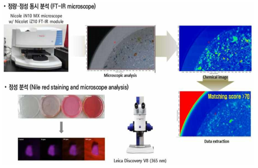 FT-IR microscope을 활용한 정성, 정량 동시 분석