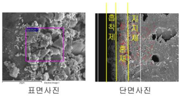 코어 고분자 입상체의 SEM 사진