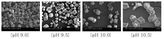 pH에 따른 PCC 성상 비교