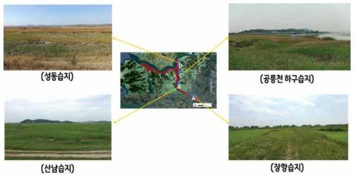 한강한구 습지 위치 및 전경