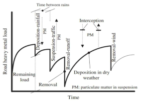 Build-up/wash-off dynamics of RDS