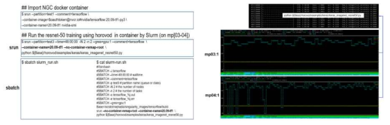 Pyxis 기반 Slurm 파라미터를 사용한 Enroot 컨테이너 실행 예시