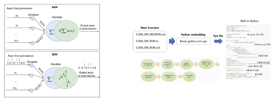 인공신경망(ANN) vs. Spiking neuronal network 차이(좌), 최적화 프로그램 구조(우)