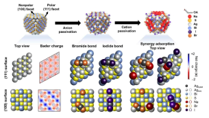 좌) 흡착되지 않은 깨끗한 Ag-노출 (111) 및 (100)면과 Bader charge 가시화, 중) 음이온이 흡착된 두 표면의 원자 배열, 우) 음이온이 흡착한 표면 위 양전하 리간드가 흡착된 원자 배열