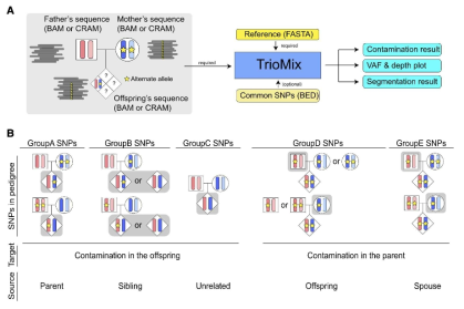 Overview of TrioMix