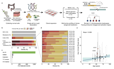 Somatic L1 retrotranspositions in normal cells