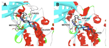 Binding mode inhivitor of kinase domain of Bcr-AblWT and Bcr-AblT315I