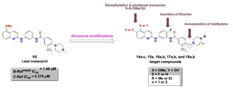 Lead compound 구조 변형을 통한 신규 RAF 키나제 발굴 디자인