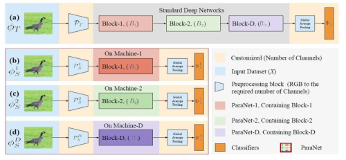 ParaNet structure for creating lightweight learning models