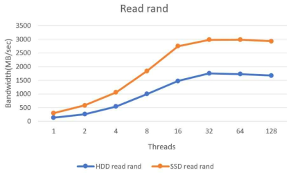 Random Read 성능