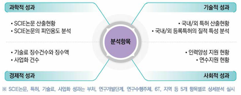 국가연구개발사업 성과분석 항목