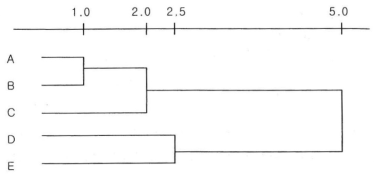 계층적 클러스터링의 덴드로그램 출처: 정영미 (2012, p.182) 주: 거리계수를 사용하여 문헌 A, B, C, D, E를 계층적 클러스터링한 결과