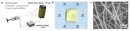 form aldehyde 감지 카드 제조 전기 방사 조건 및 결과