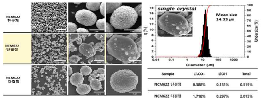 NCM 전구체 및 NCM 단결정 SEM 분석 (좌) NCM 단결정 입도 및 잔류 리튬 분석 (우)