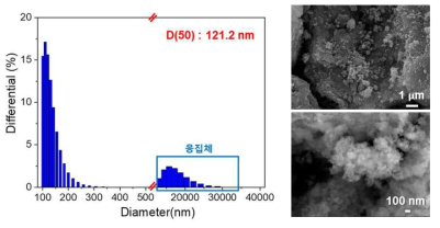 전해 공정으로 형성된 NPI 분말의 DLS (좌) 및 FE-SEM (우) 분석결과