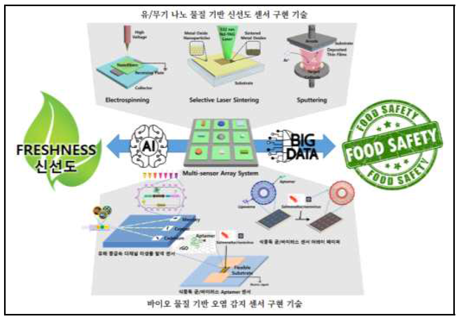 식품재의 신선도와 안전성 판단을 위한 AI기반 복합AI 센서 연구 구성