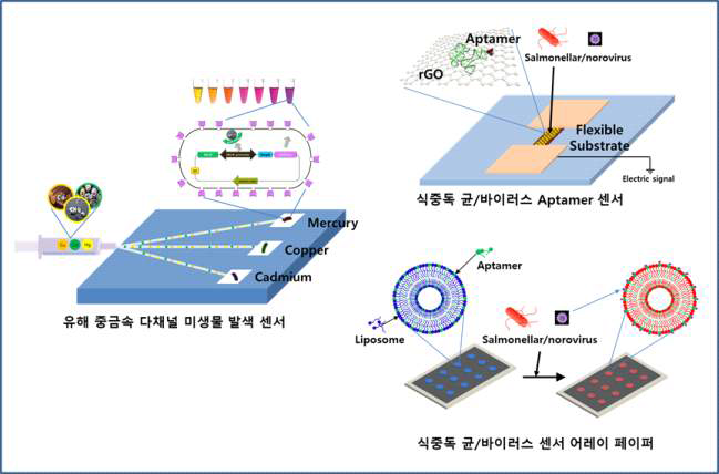 식품 유해물질 오염 판단을 위한 바이오 물질 기반의 센서 구현