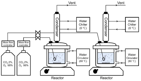 Schematic diagram of oxidative degradation test apparatus