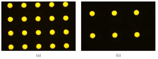 PCB panel의 BGA pad 사진(배율 50); (a) 0.3㎜ pitch, (b) 0.6㎜ pitch