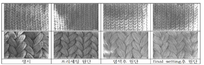 원단의 외관 분석(전자현미경)