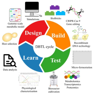 Engineering Biology의 Design-Built-Test-Learn 순환 개념 ※ 출처 : Front. Bioeng. Biotechnol., 30 November 2018