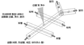 유세포 선별/계수/분석기