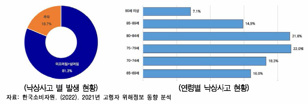 고령자 낙상사고 발생현황