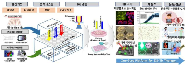 다제약제내성 신속검진키트 맞춤형 체외진단분석기술 workflow