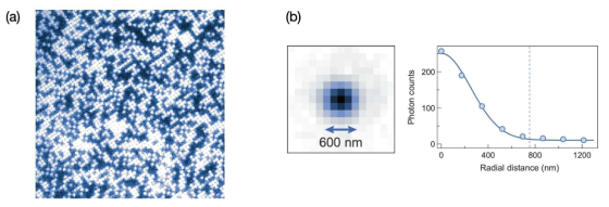 (a) 광 격자 내에 분포한 중성원자로부터 방출된 광자를 찍은 사진. (b) 단일 원자 사진을 약 20개 모아 평균을 취한 것으로 대략 600nm의 FWHM을 갖는 가우시안 분포를 확인 할 수 있다. 점선은 광 격자 상수인 750nm를 의미한다
