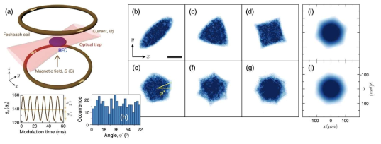 (a) 실험 셋업의 모식도. 극저온 양자 기체는 광트랩과 Feshbach coil에 의해 생성되는 자기장 트랩에 의해 갇혀 있으며, 코일에 흘려주는 전류값에 변조를 가하여 상호작용의 세기를 특정 주파수로 진동 시켜주었다. (b)-(g) 여러 주파수로 변조를 가한이후 원자들의 밀도 분포. (b) 84 Hz, (c) 104 Hz, (d) 119 Hz, (e) 132 Hz, (f) 147 Hz, (g) 161 Hz, 다양한 형태의 패턴이 특정 주파수에서 발현됨을 확인하였으며, (i),(j) 3차원 수치계산을 통해서도 동일한 결과가 관측되었다