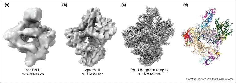 개선된 RNA 중합효소 초저온 전자현미경 전자밀도 맵. (a) EMDB:1322 (2007년), (b) EMDB:1804 (2010년), (c) EMDB:3178 (2015년), (d) (c) 전자밀도 맵에 모델링한 구조 (PDB:5FJ8)