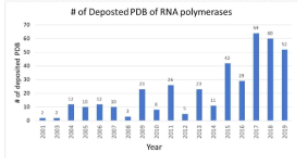 연도 별 Protein Databank에 등록된 RNA 중합효소 구조의 갯 수 (www.rcsb.org)