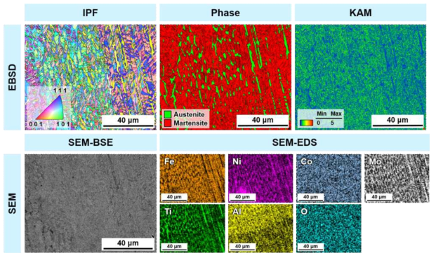 22-2 시편의 EBSD 및 SEM, EDS 분석 결과