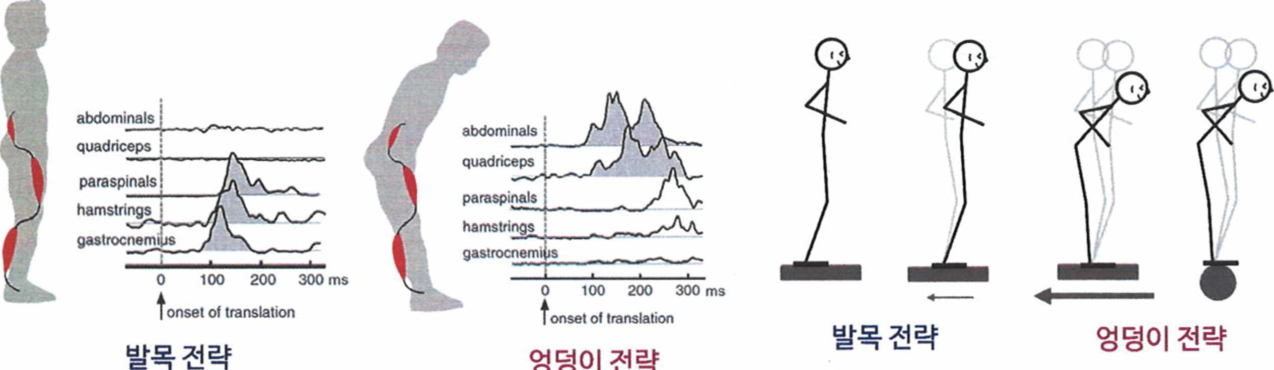 다양한 외부 조건에 따른 사람의 자세 제어 전략 변화