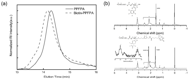 Characterization of synthesized PPFPA and biotin-PPFPA: (a) THF SEC elution profiles; (b) 1H NMR spectra in CDCl3. The chemical structures of the polymers and the proton peak assignments are indicated