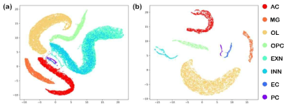 사전학습된 scRNA-seq foundation model에서 나온 각 세포 feature의 UMAP 결과