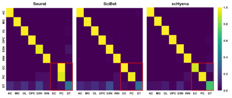 개발한 scRNA-seq foundation model의 뇌세포 분류 실험 결과