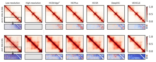 다른 deep learning 모델과 HiCBridge의 결과 비교