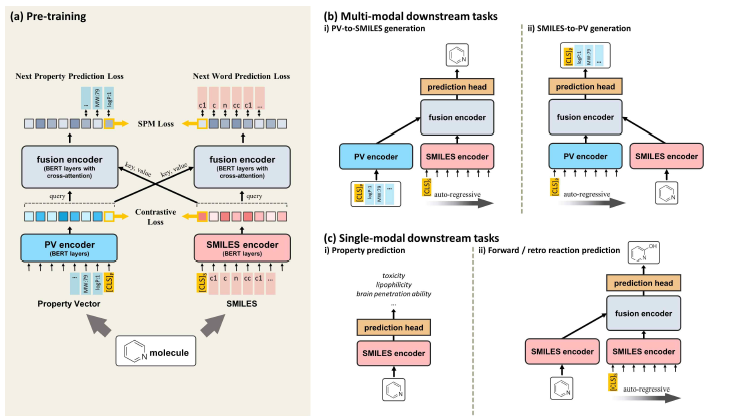 개발한 분자/화학특성 foundation model의 사전학습 및 활용 모식도