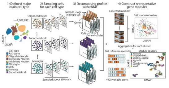 뇌조직 단일 세포 전사체 데이터 생산, 수집 및 지표 추출 알고리즘 개발 개요도
