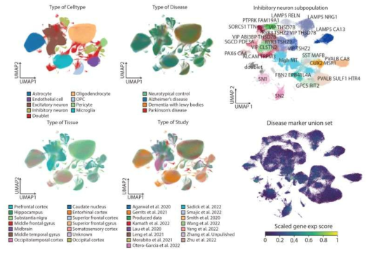 단일 세포 유전자 발현량에 따른 세포 아형 분류(Type of Celltype) / 질병 분류 (Type of Disease) / 조직 분류 (Type of Tissue) / 스터디 분류 (Type of Study) (좌와 중간). Inhibitory neuron의 세부 분류 (우측 상단). 기 보고된 질환 특이적 유전자 그룸의 발현 분포도 (우측 하단)