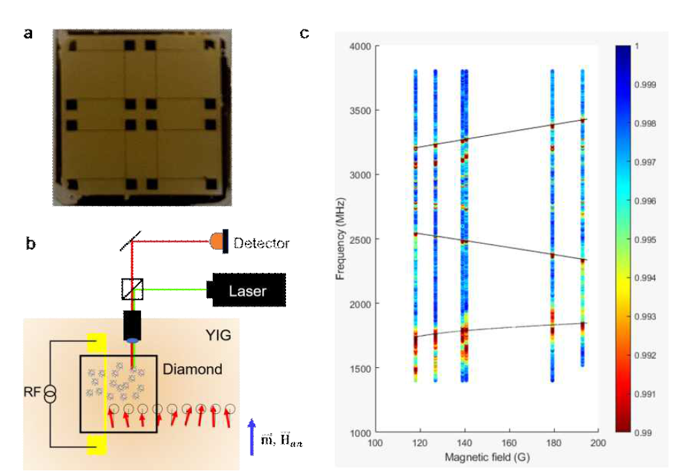 a. YIG 기판 위에 패턴된 마이크로스트립 구조. b. 다이아몬드 슬랩을 이용한 실험 구조의 개략도. c. 연속파 전자 스핀 공명(continuous wave ESR)을 이용해 측정한 스핀파와 다이아몬드 NV center의 공명 특성. Zeeman 효과에 의해서 나타나는 선형 특성과 스핀파의 비선형적 공진 특성이 모두 관측됨을 알 수 있다. 고려대학교 이동헌 교수 연구팀의 장비로 측정함